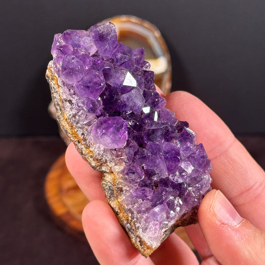 Neujahr-Gembag GBA021