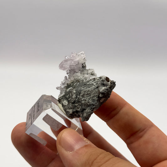 Veracruz Amethyst GC071