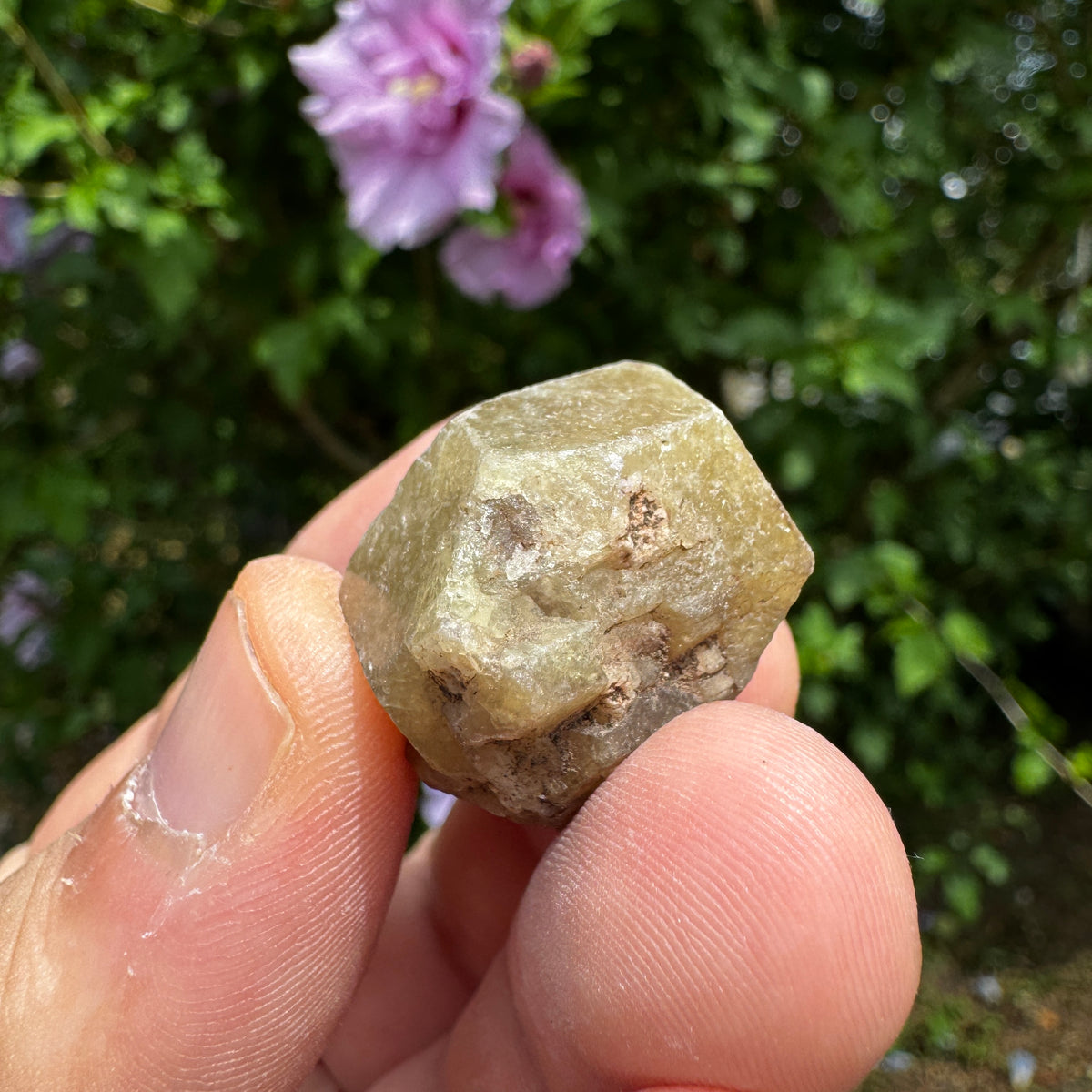 Grossular Granat GA365