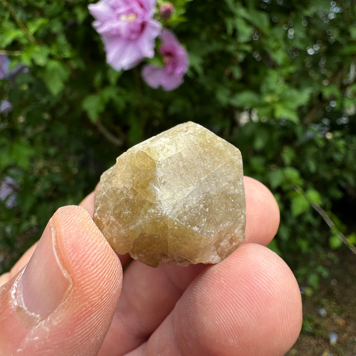 Grossular Granat GA371