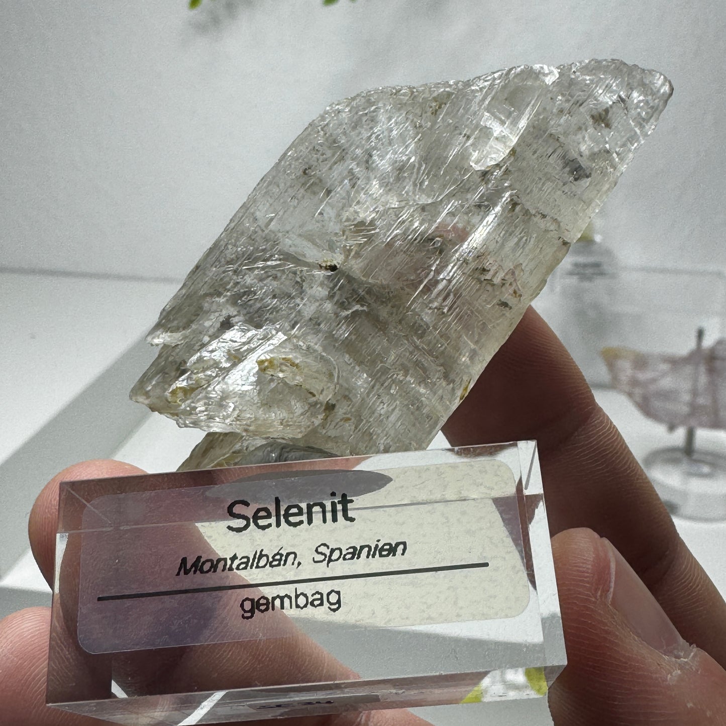 Selenit mit Kohleeinschlüssen GL046
