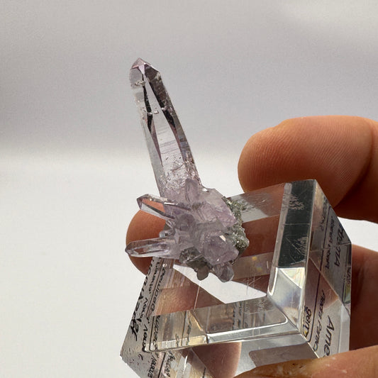 Veracruz Amethyst GC065