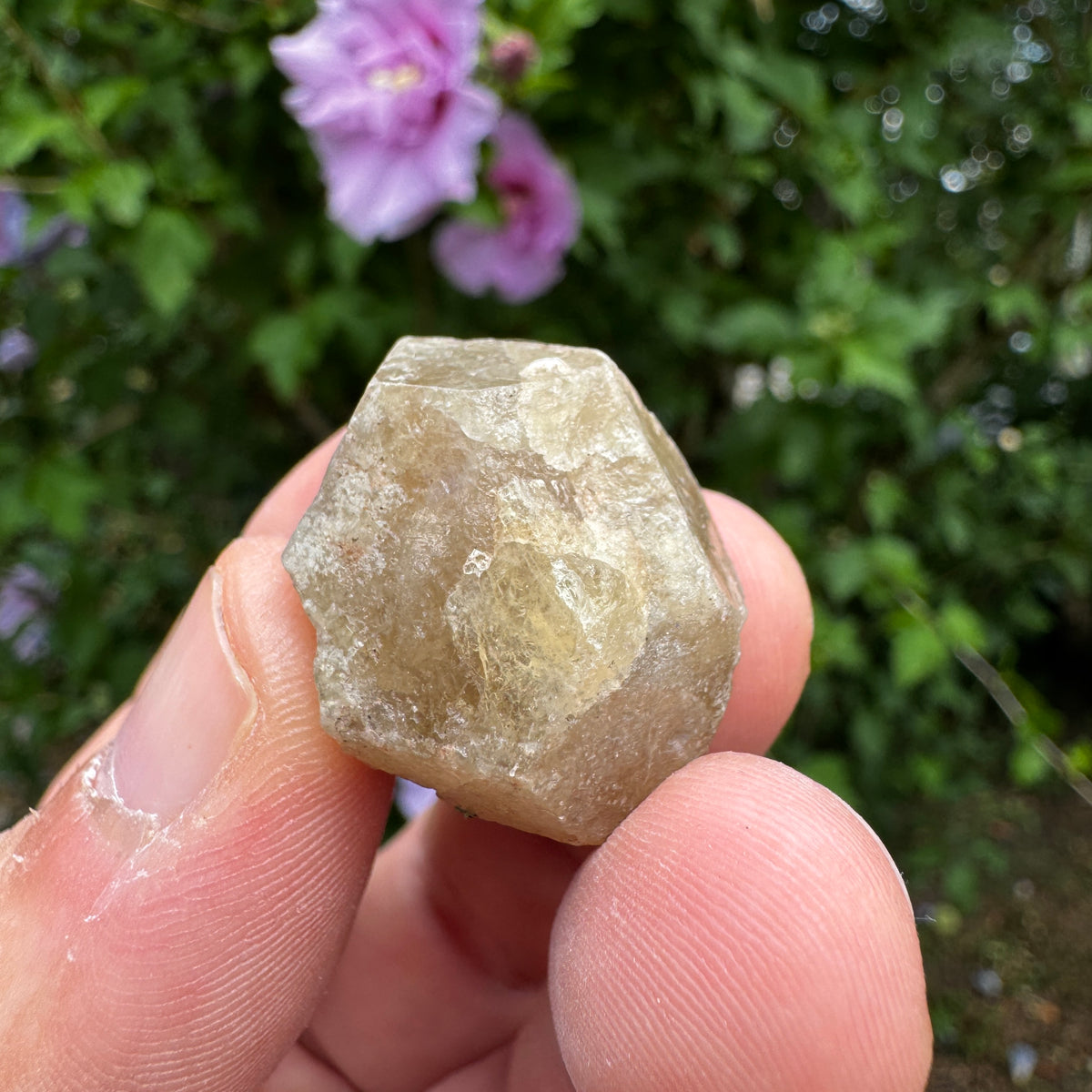 Grossular Granat GA369