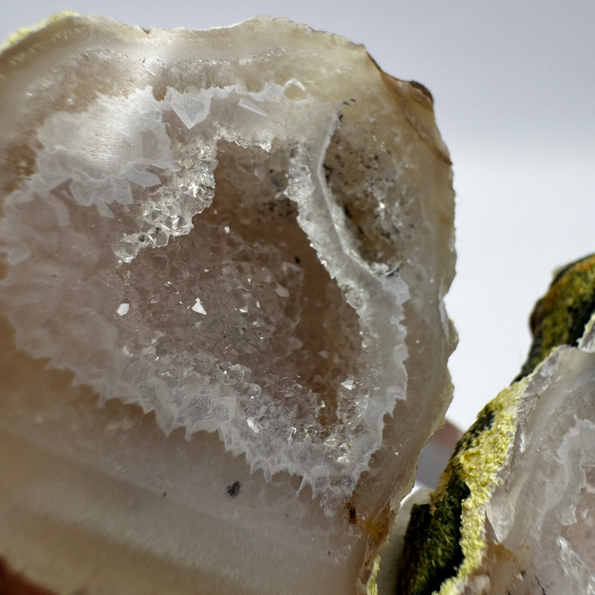 Tabasco Geode GC015