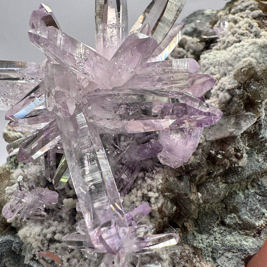 Veracruz Amethyst GC109