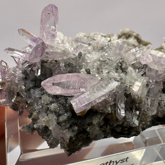 Veracruz Amethyst GC108