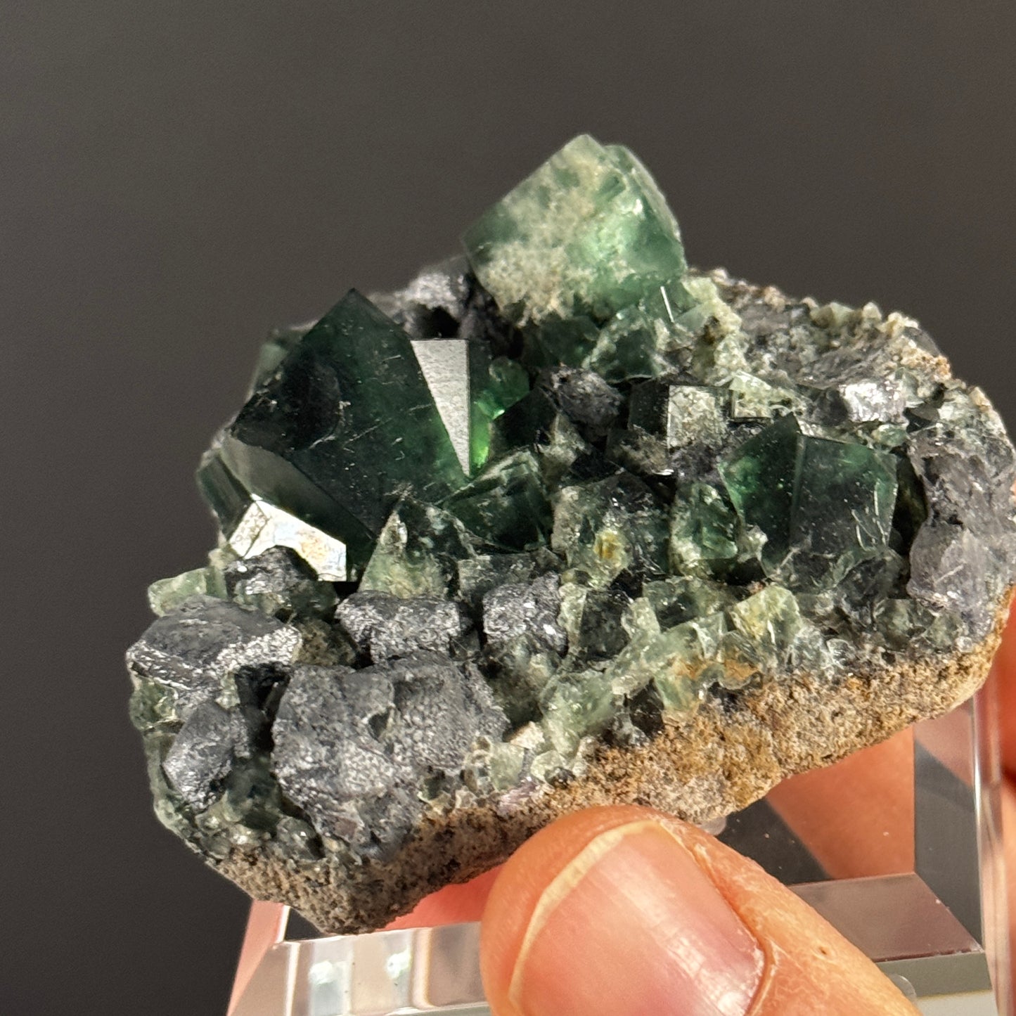 Diana Maria Fluorit GBNL06