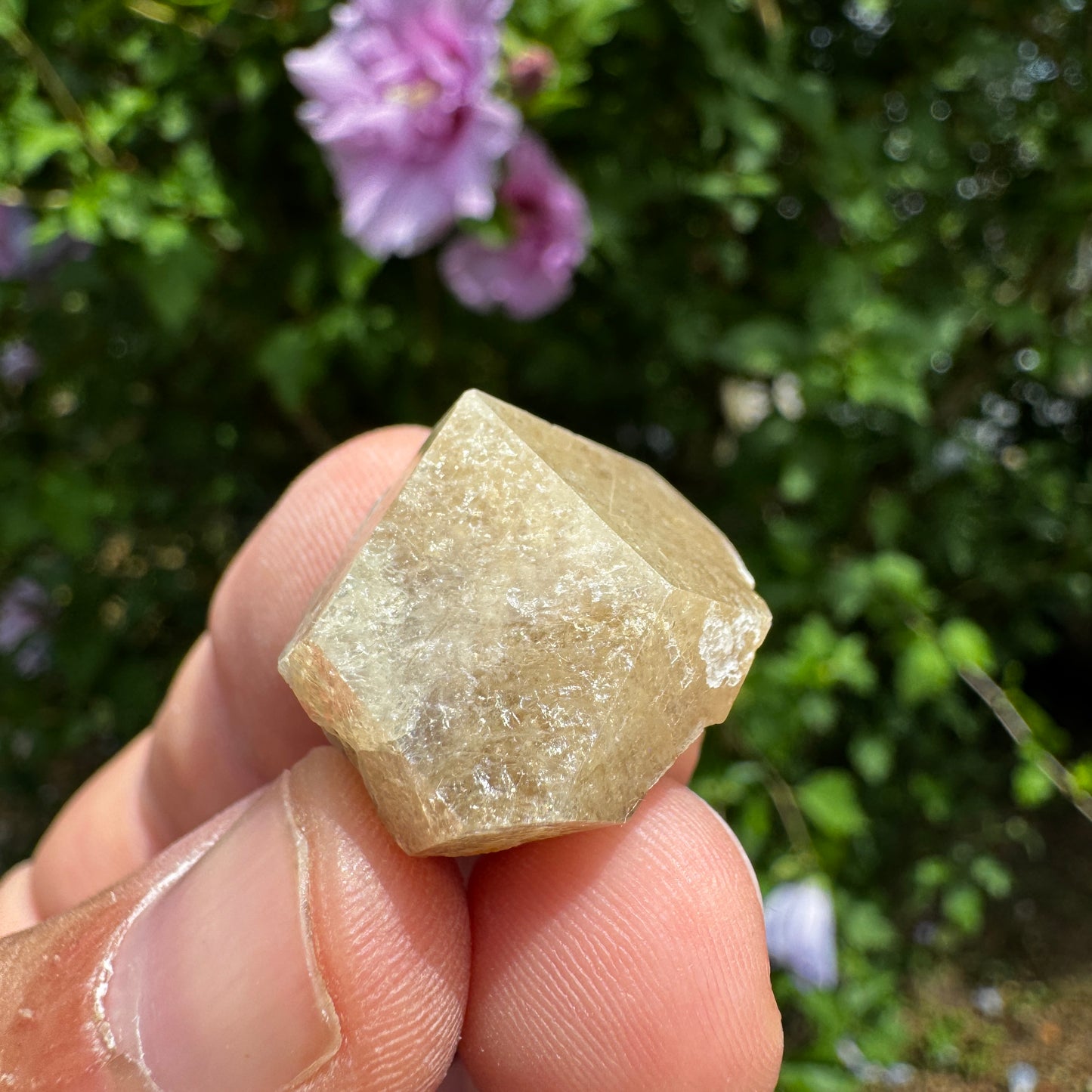 Grossular Granat GA373