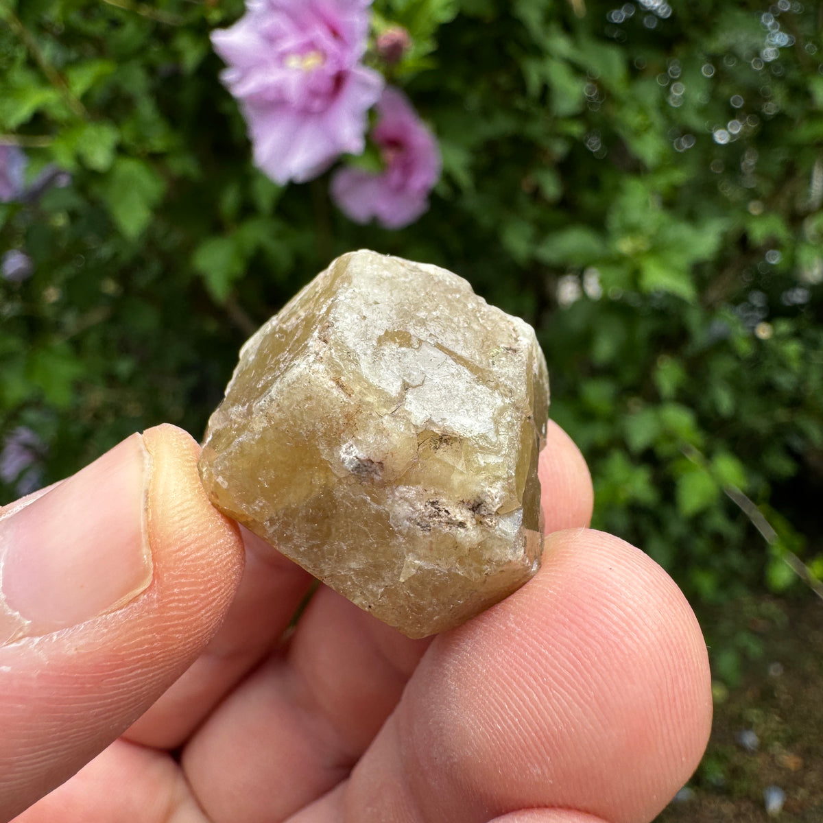 Grossular Granat GA370