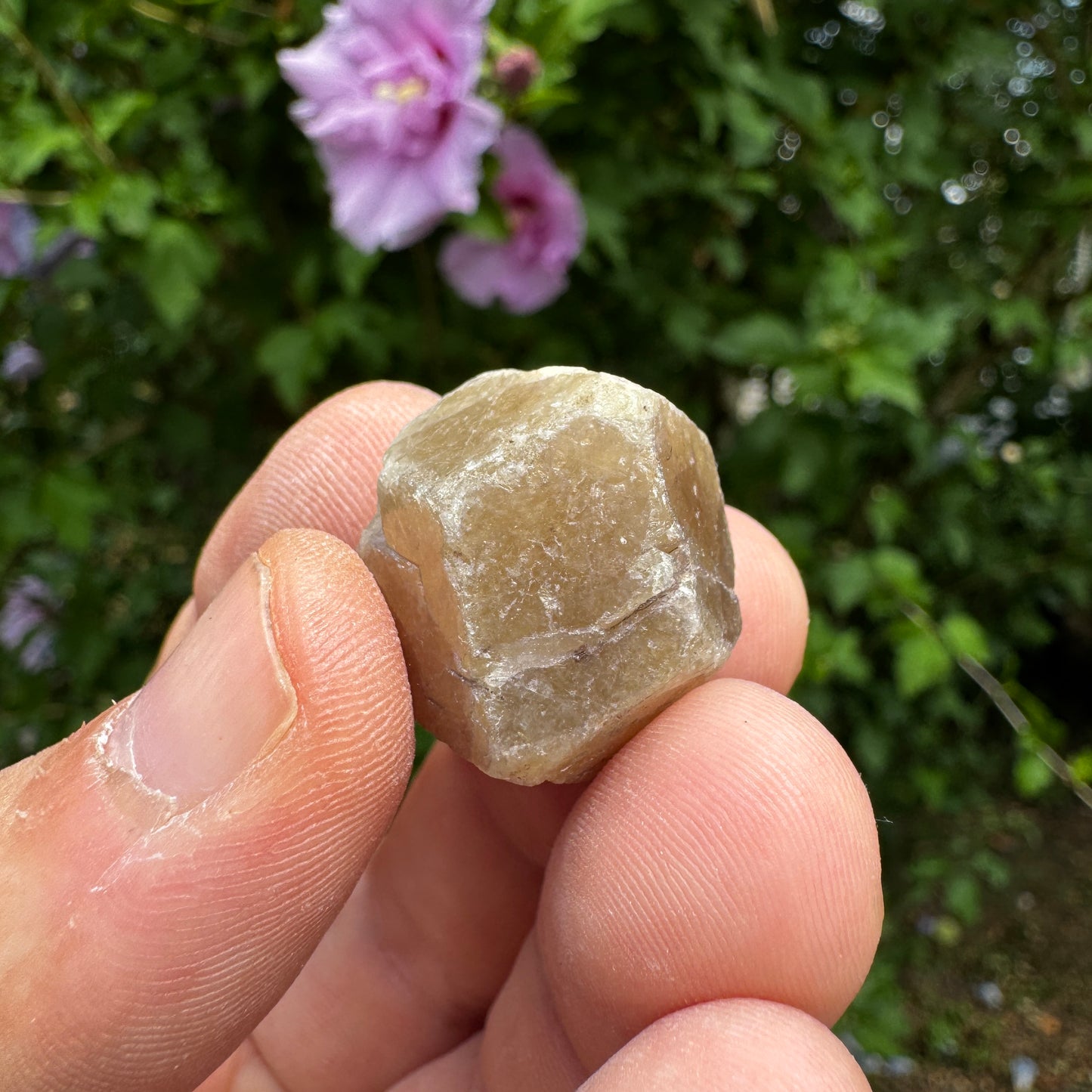 Grossular Granat GA366