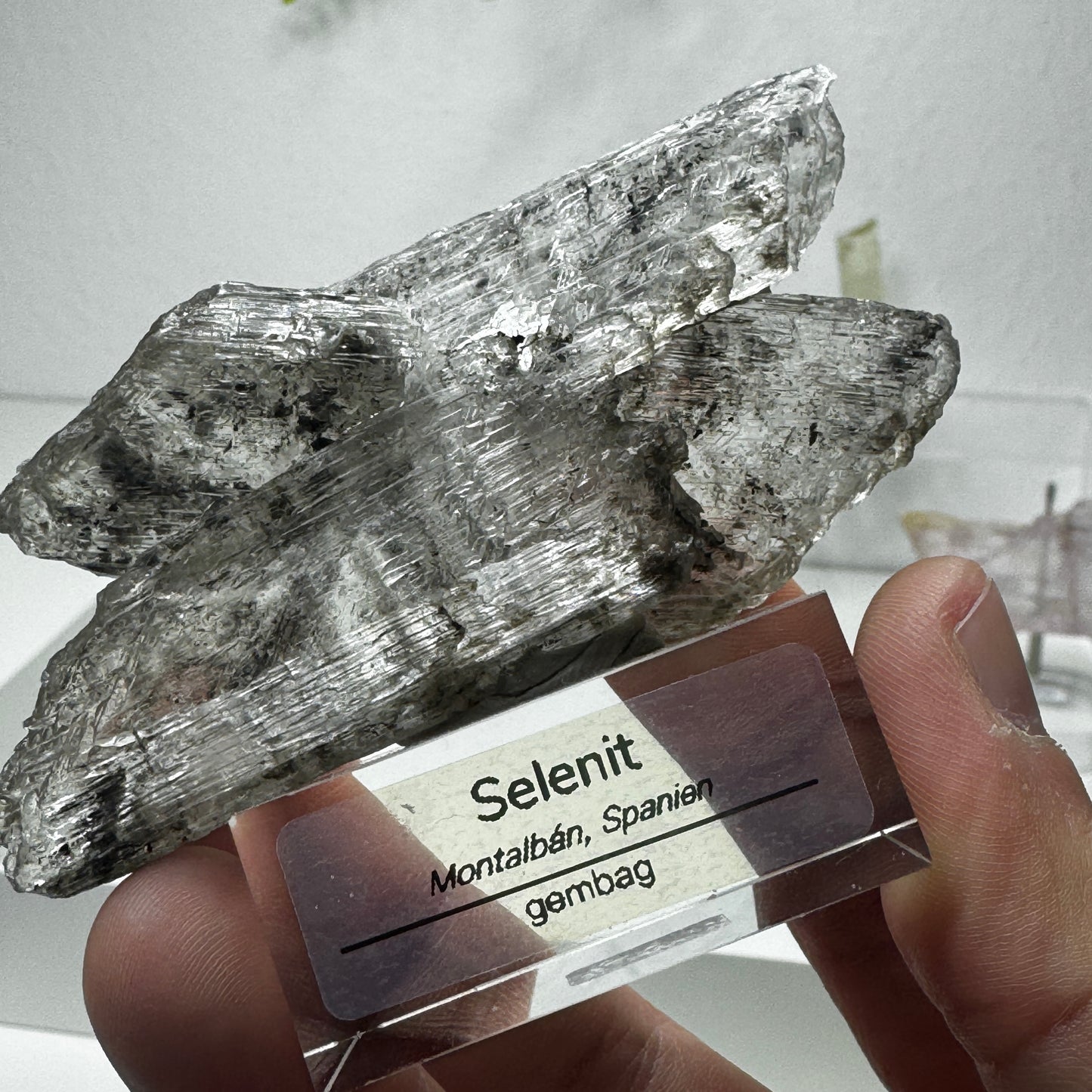 Selenit mit Kohleeinschlüssen GL045