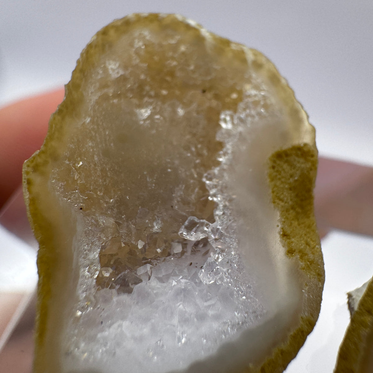 Tabasco Geode GC011