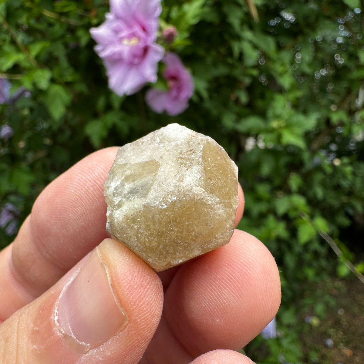 Grossular Granat GA367