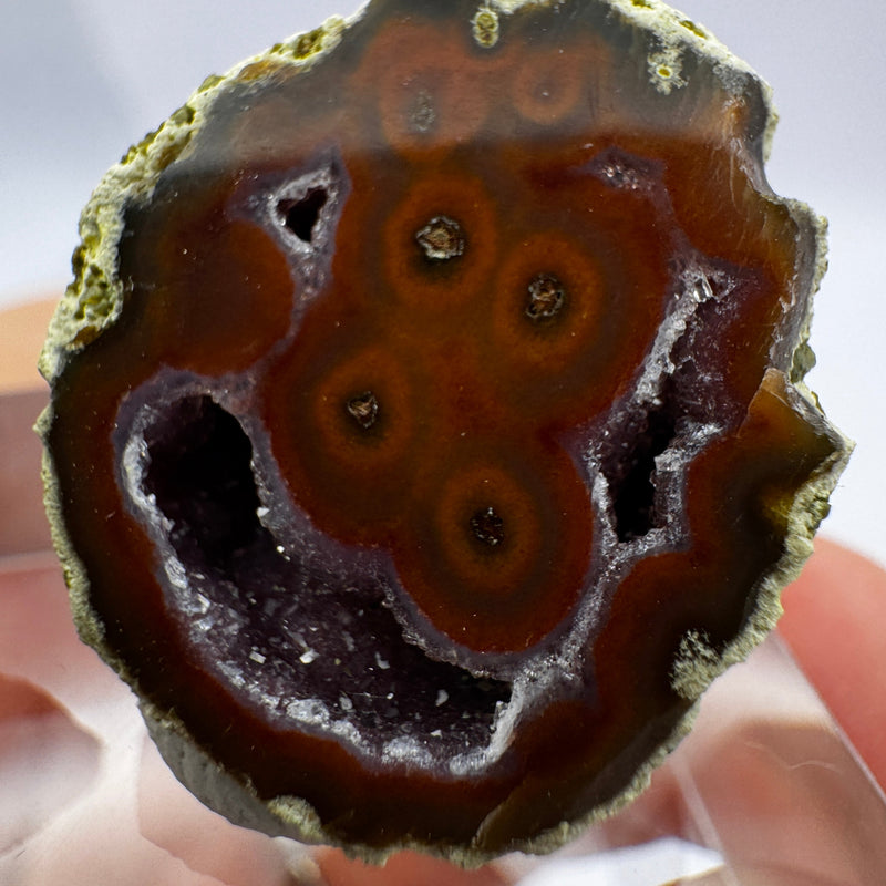Tabasco Geode GC017