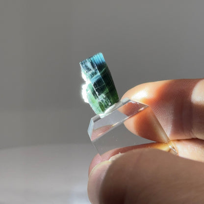 Bi-Color Blue Cap Turmalin