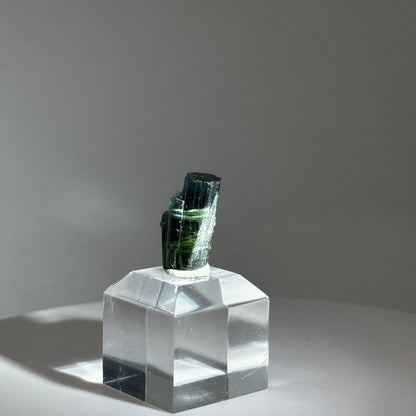 Bi-Color Blue Cap Turmalin