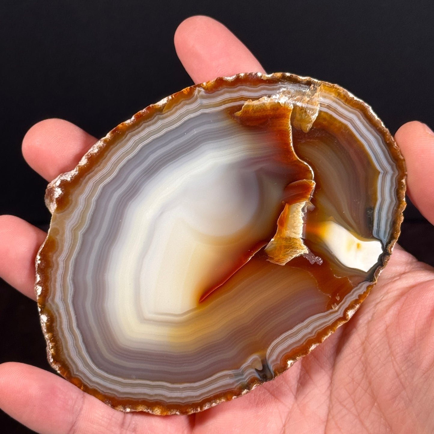 Neujahr-Gembag GBA021