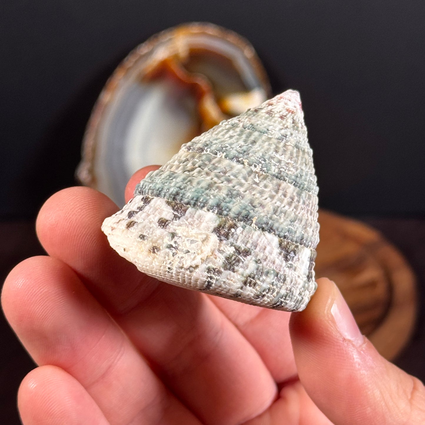 Neujahr-Gembag GBA021