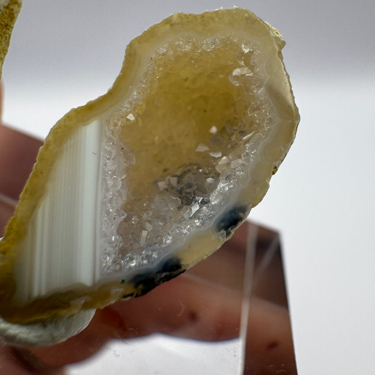 Tabasco Geode GC009