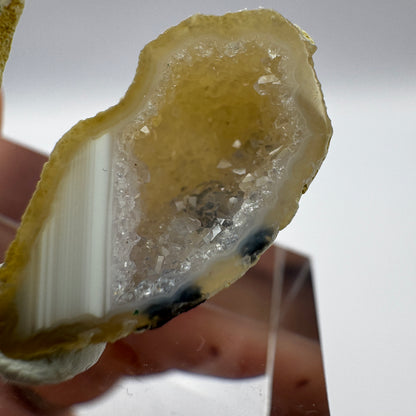 Tabasco Geode GC009