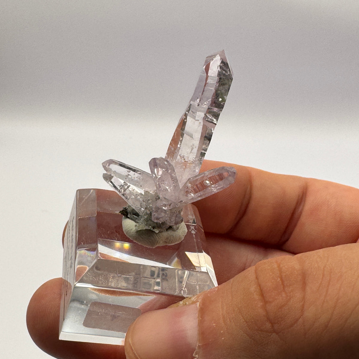 Veracruz Amethyst GC063