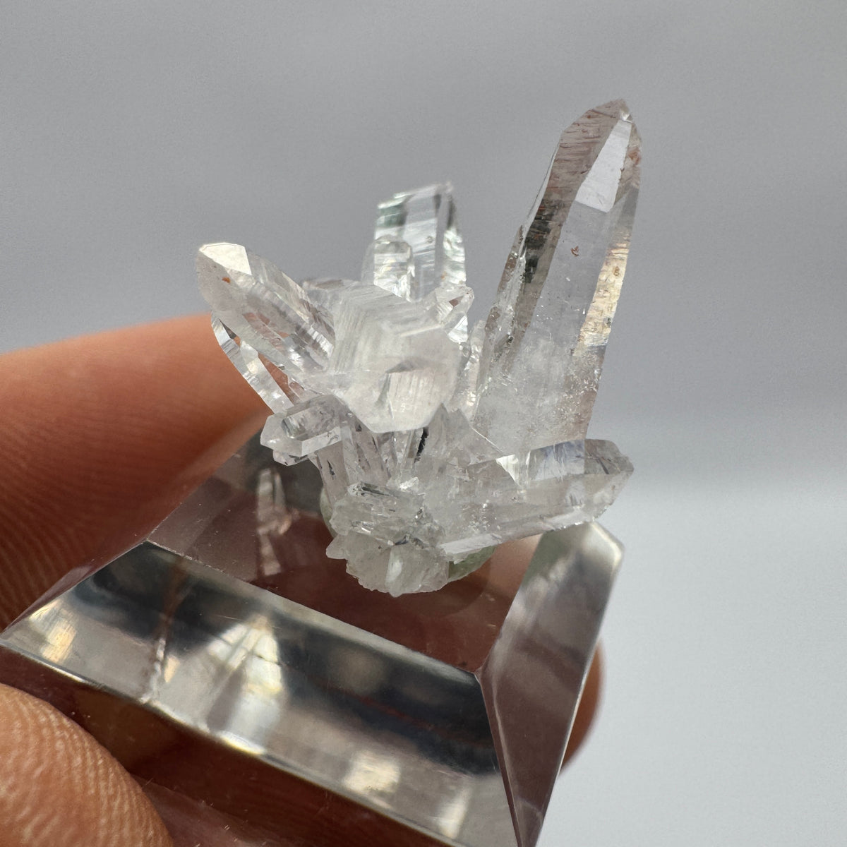 Veracruz Amethyst GC100