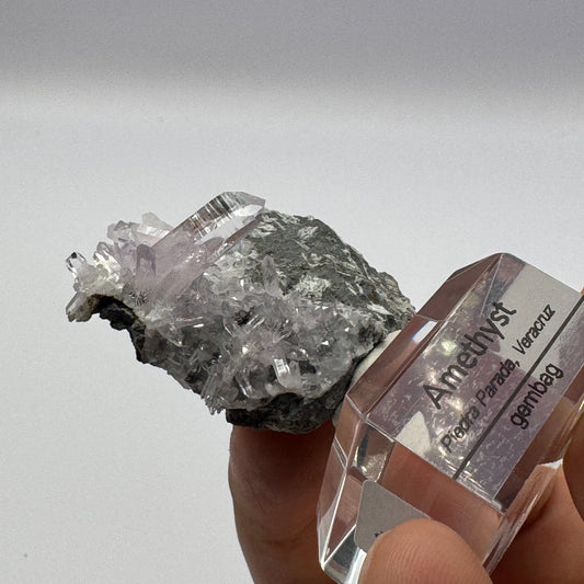 Veracruz Amethyst GC071