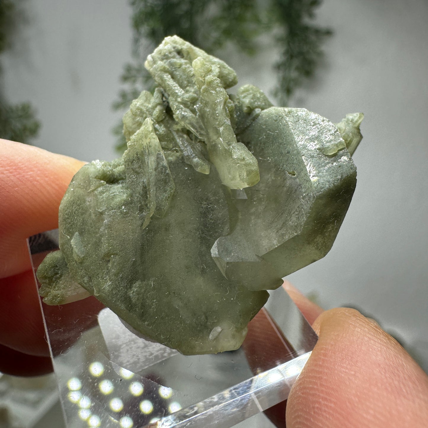 Chlorit Fadenquarz GL005