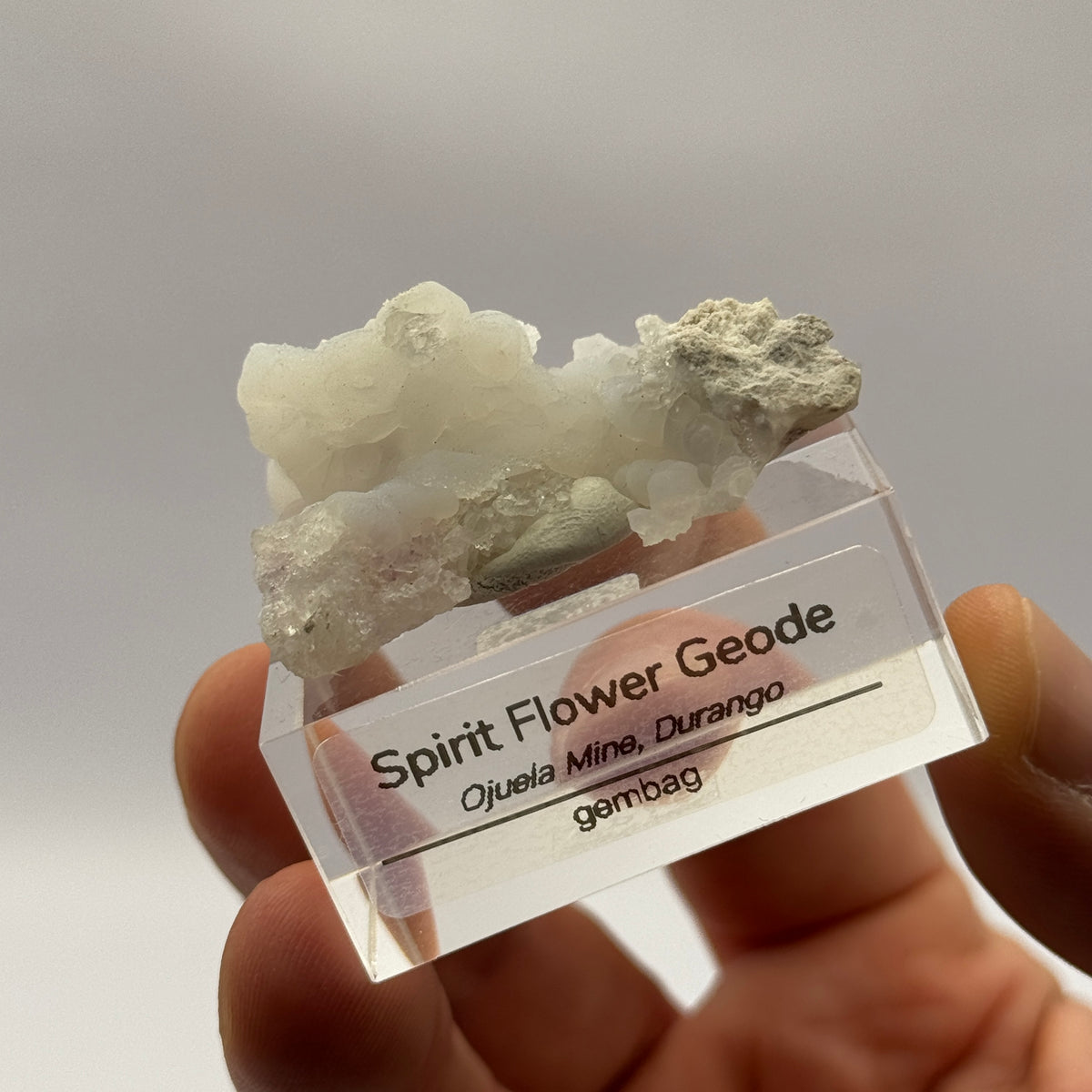 Spirit Flower Geode GC027
