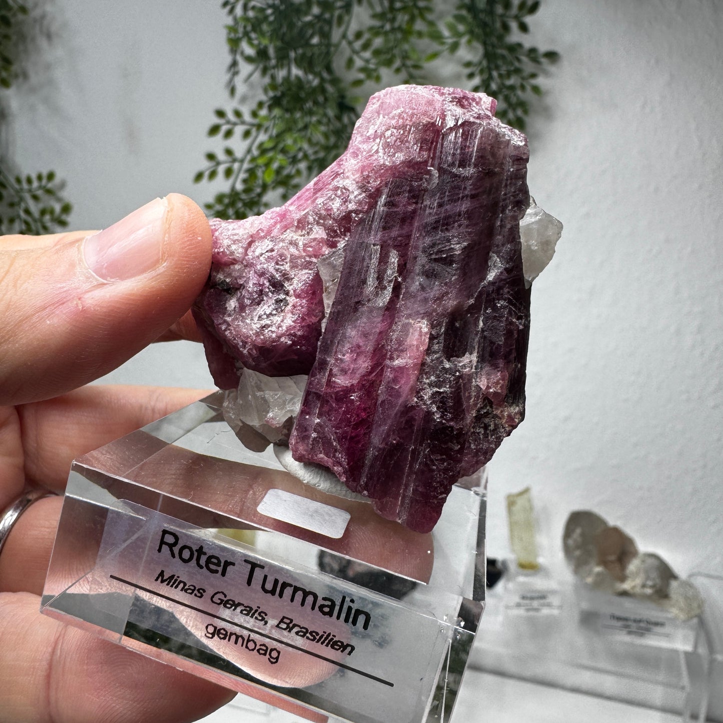 Roter Turmalin / Rubelit GL022