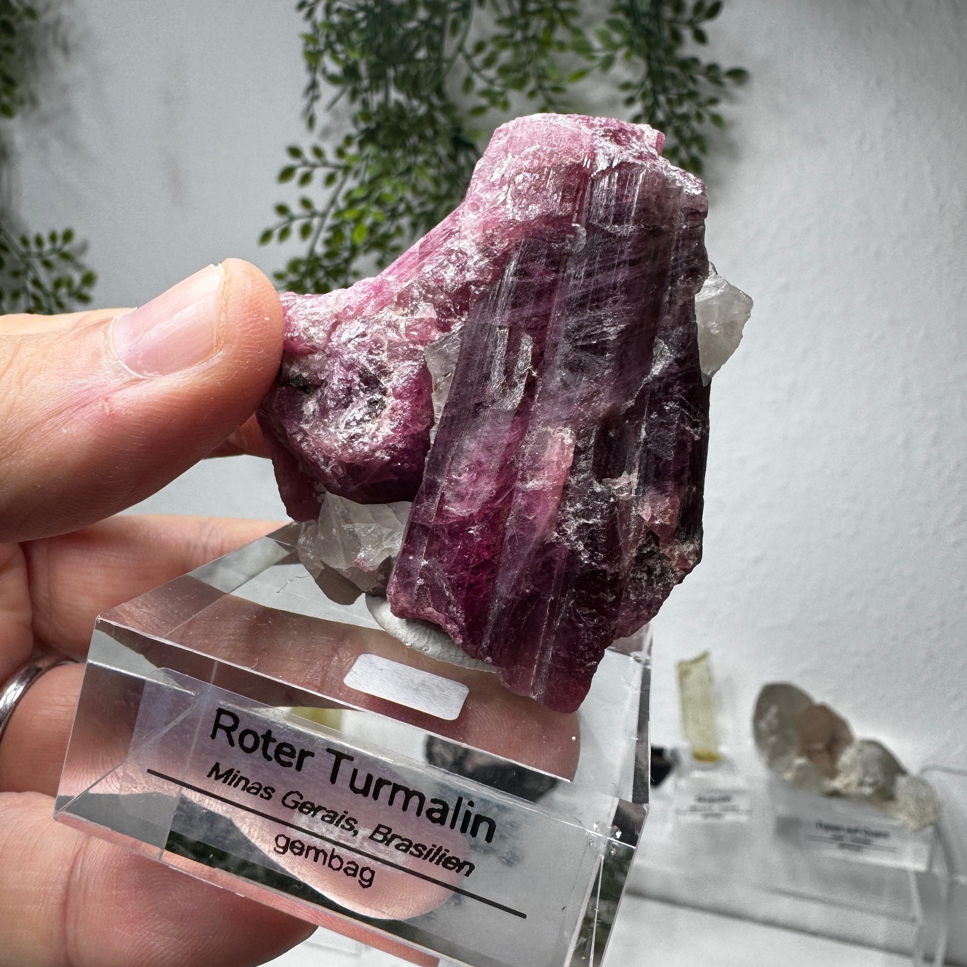 Roter Turmalin / Rubelit GL022