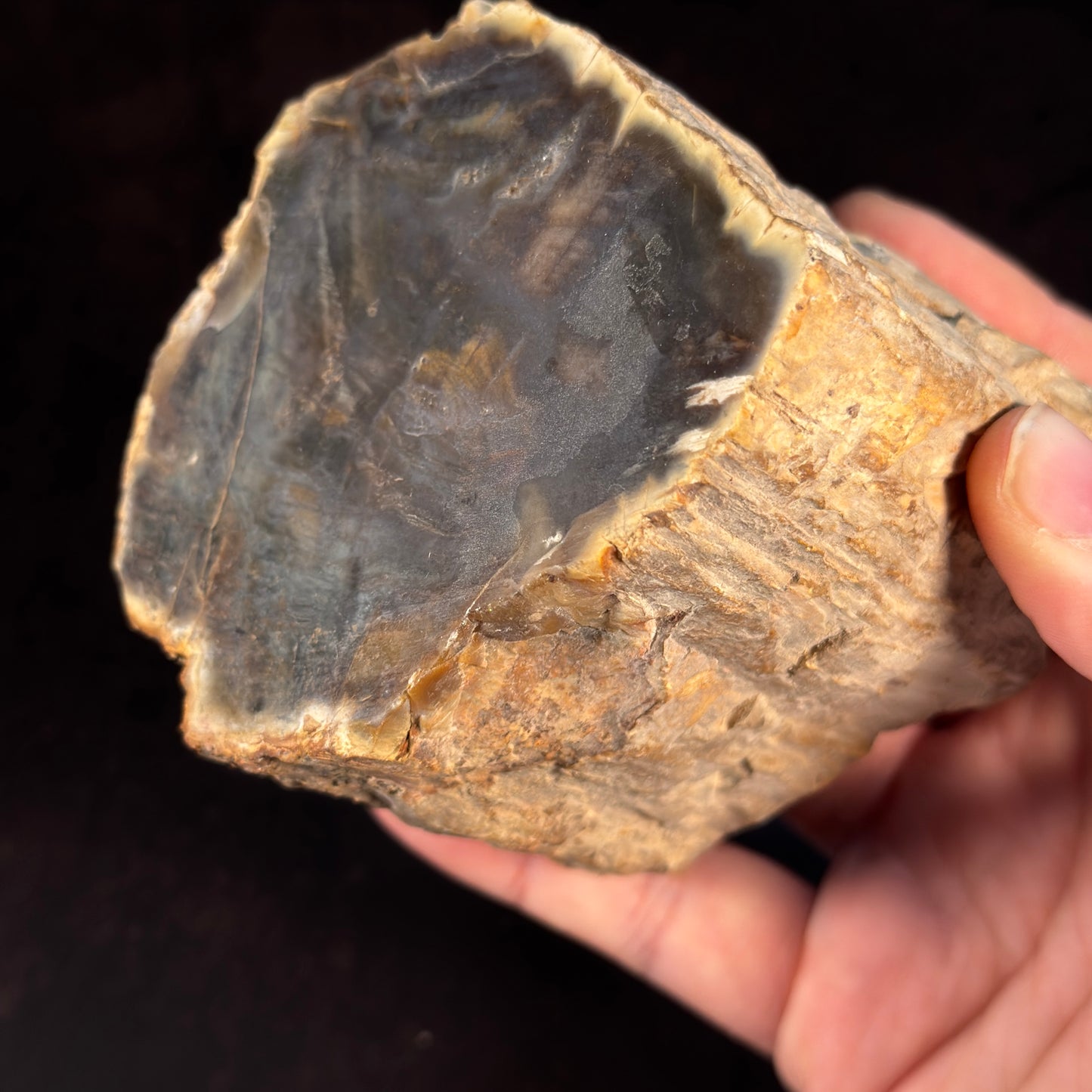 Verkiesltes Holz mit Achatkern GBA016