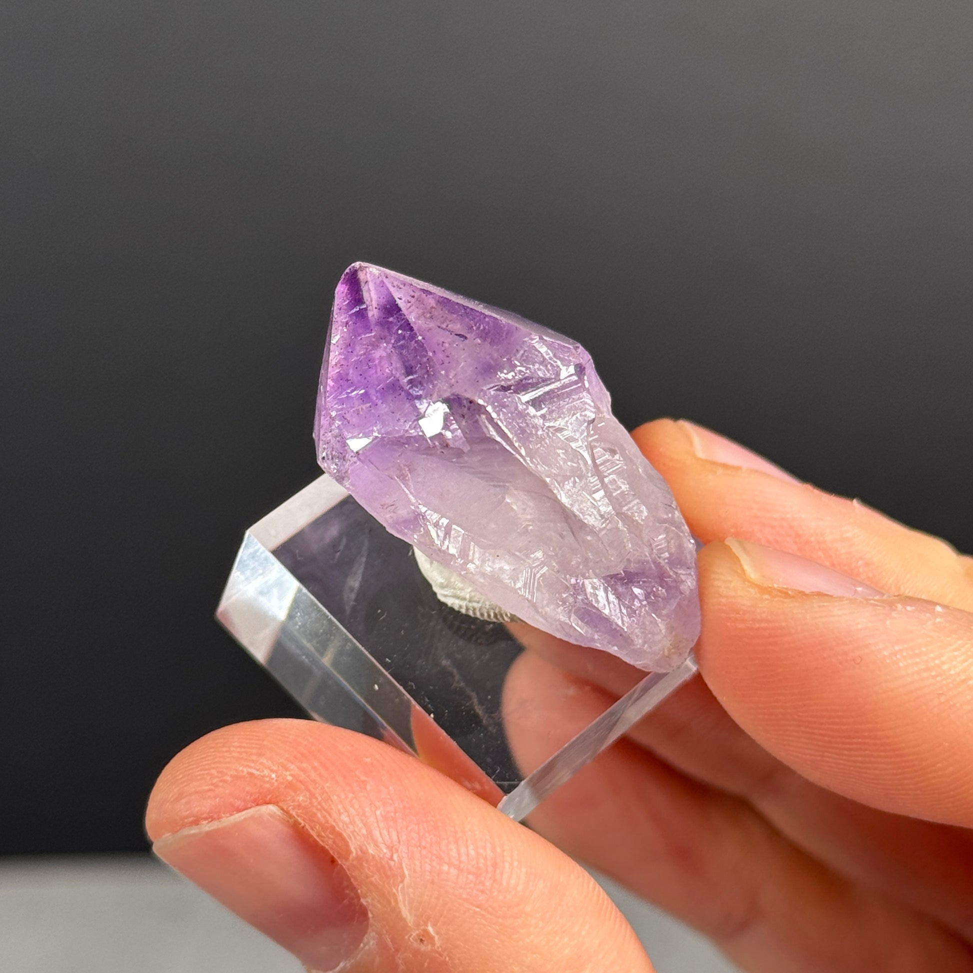 Amethystspitze GBA219