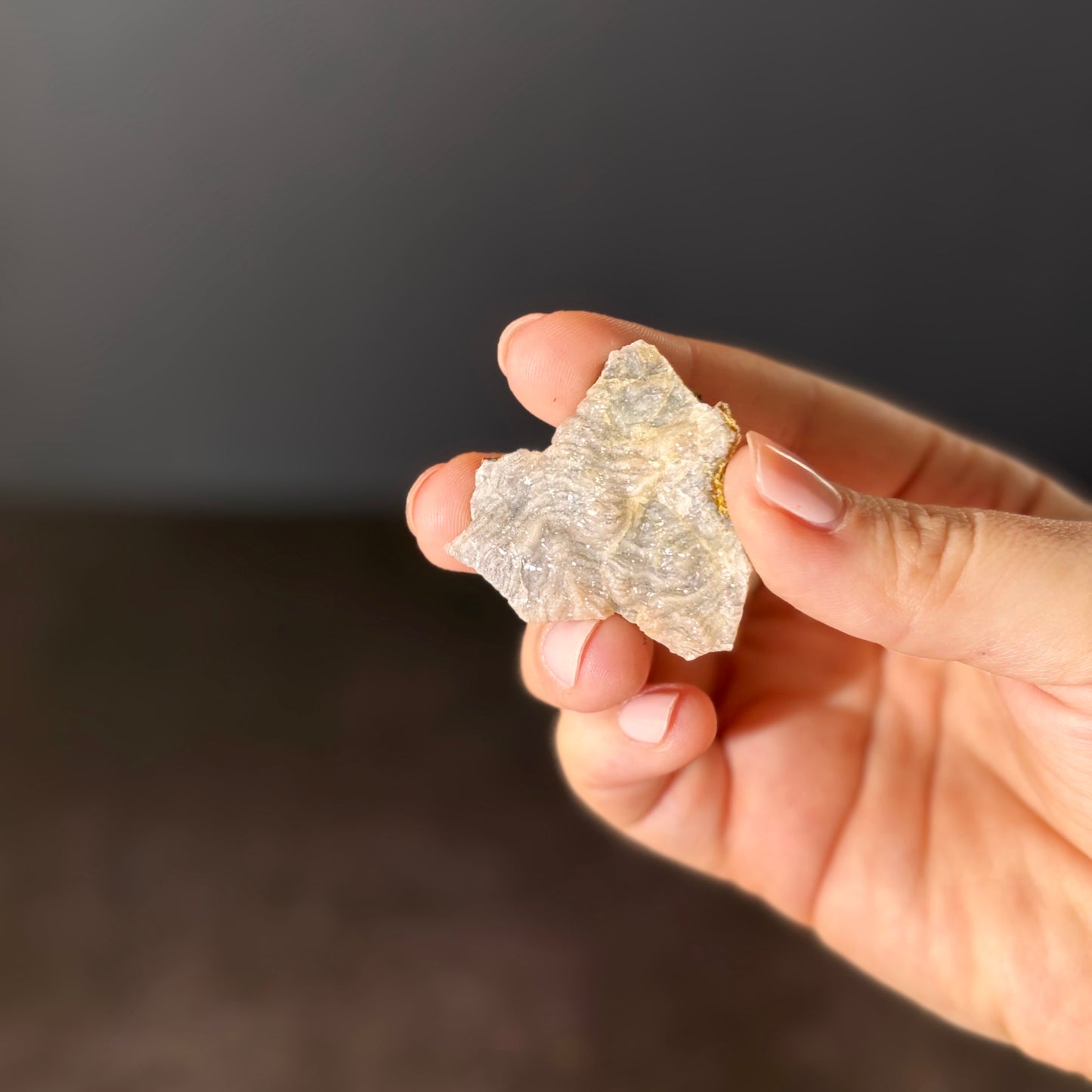 Chalcedon GA080
