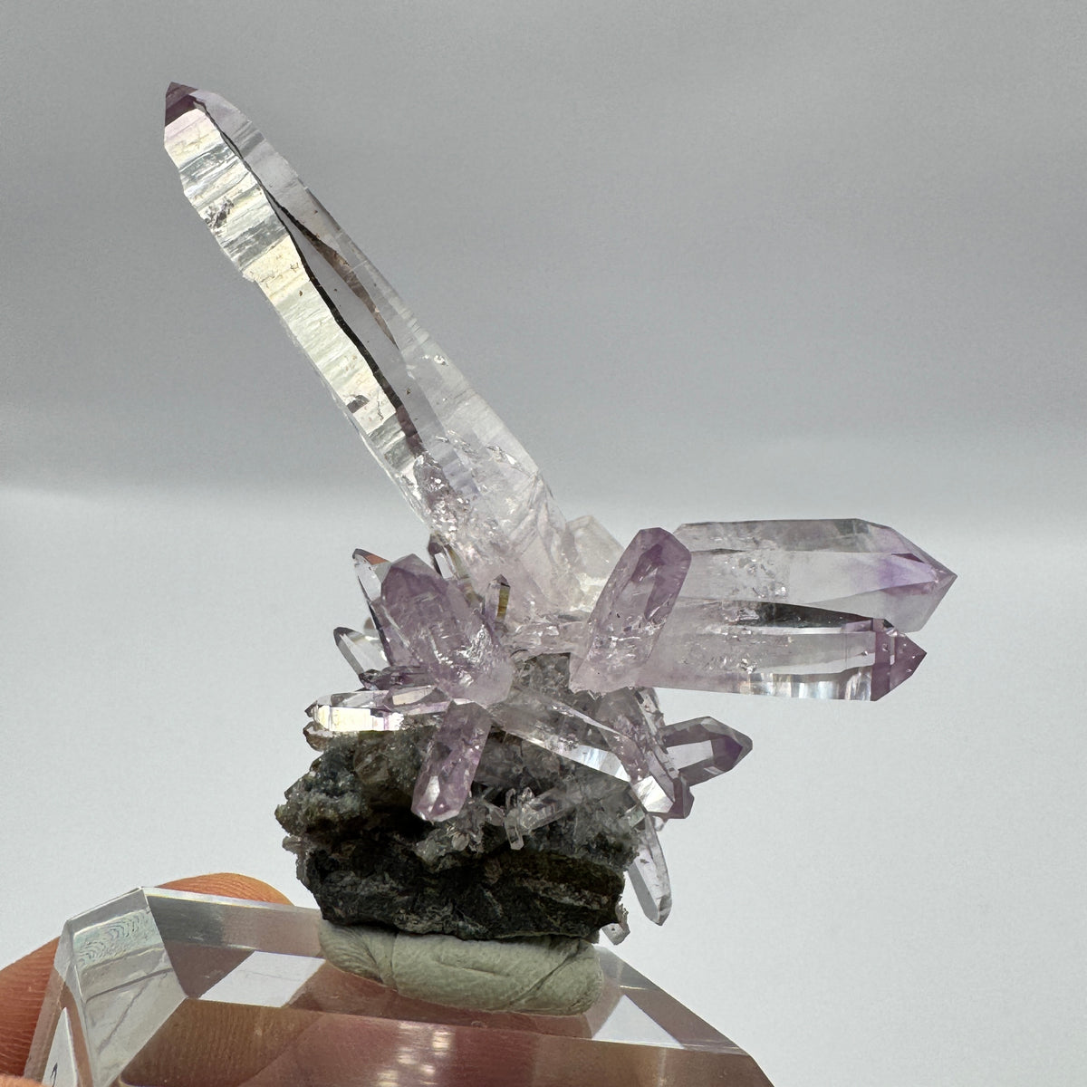 Veracruz Amethyst GC107