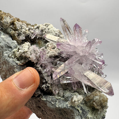 Veracruz Amethyst GC109