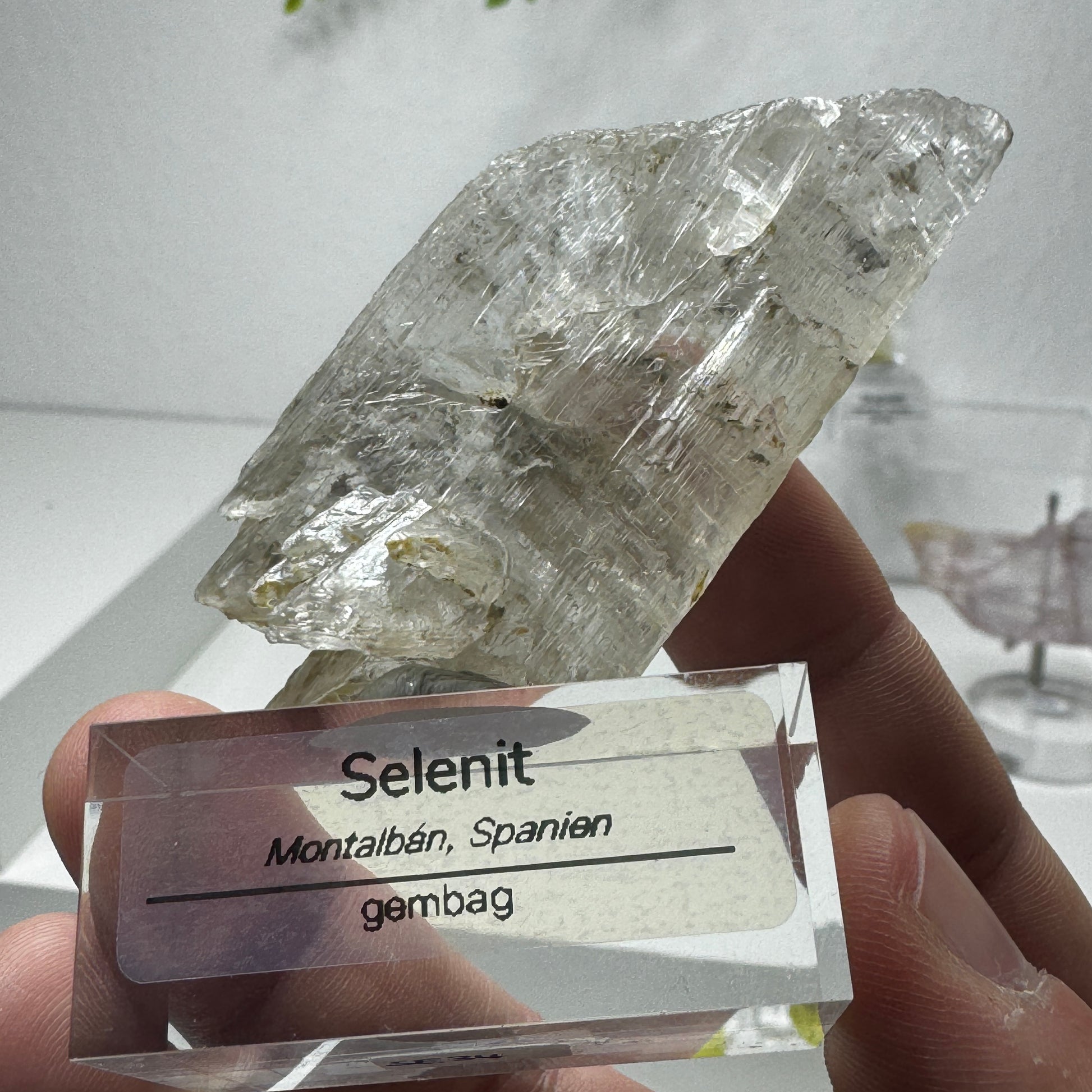 Selenit mit Kohleeinschlüssen GL046