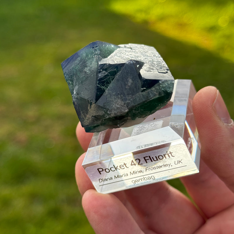 Pocket 42 Fluorit P4201