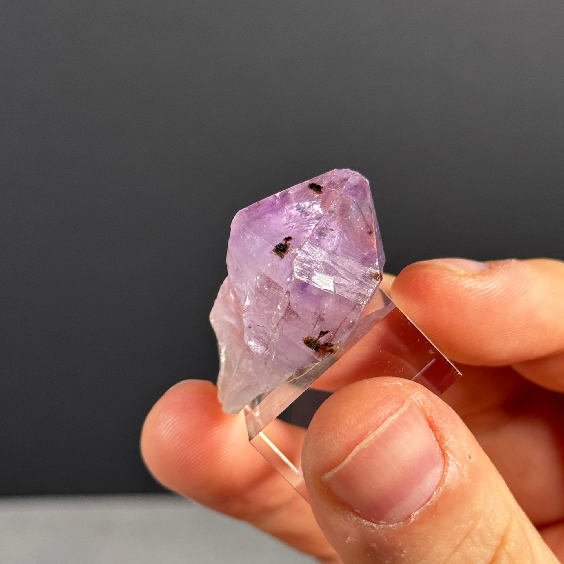 Amethystspitze GBA217
