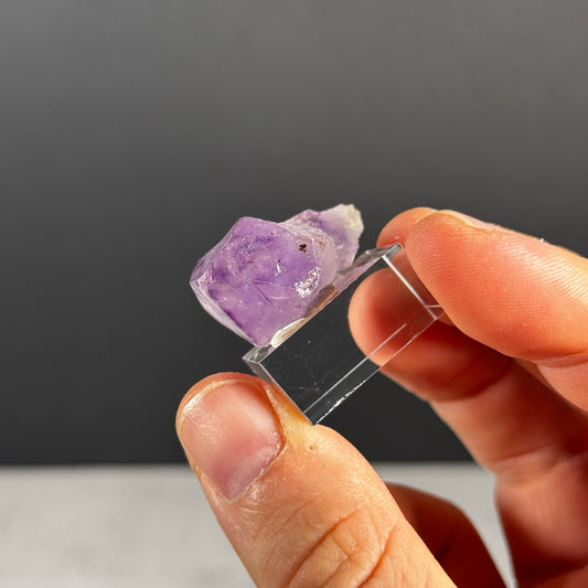 Amethystspitze GBA247