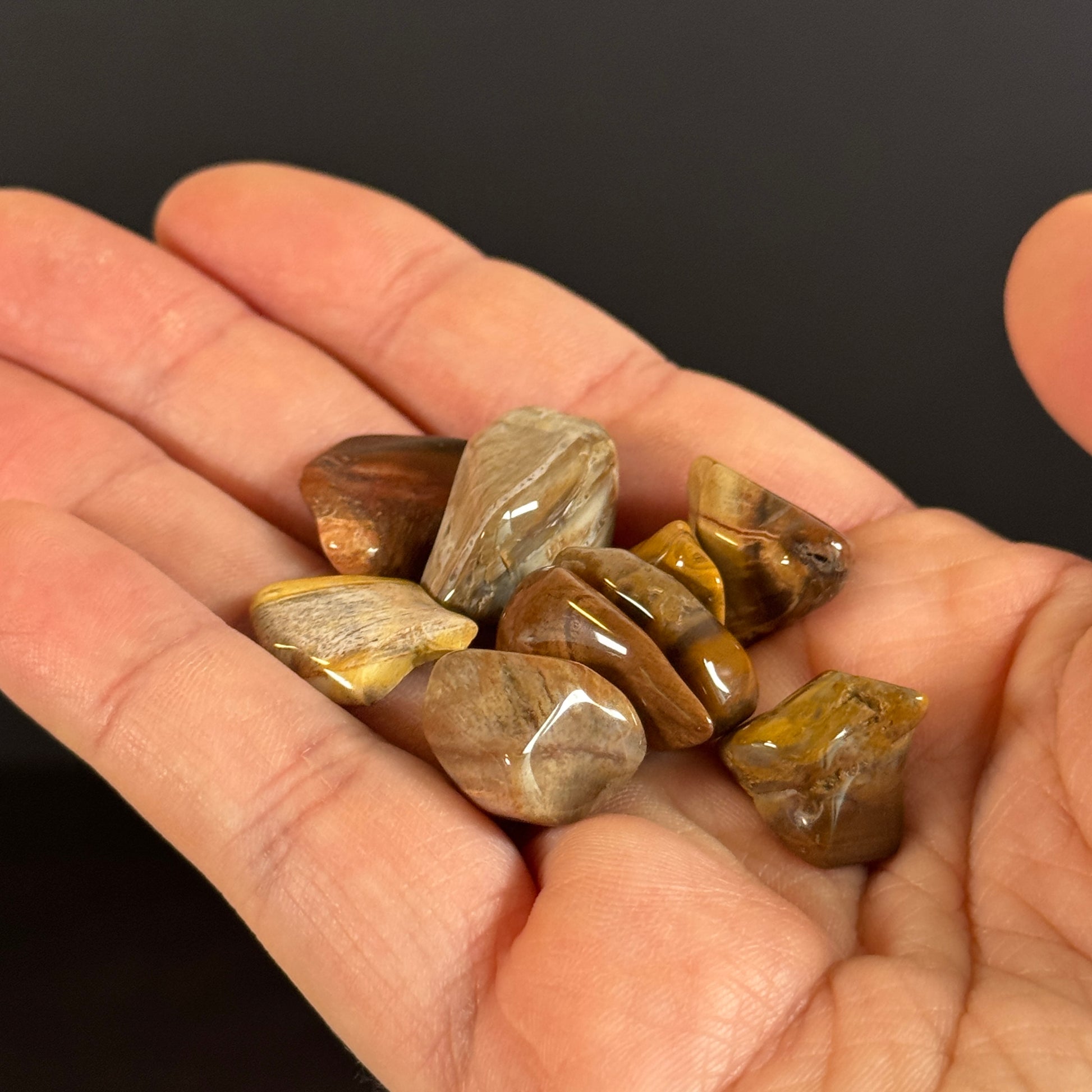 Verkieseltes Holz Trommelstein Lot GBL018