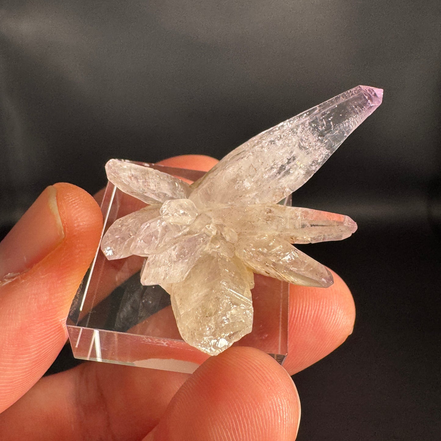 Veracruz Amethyst GA291