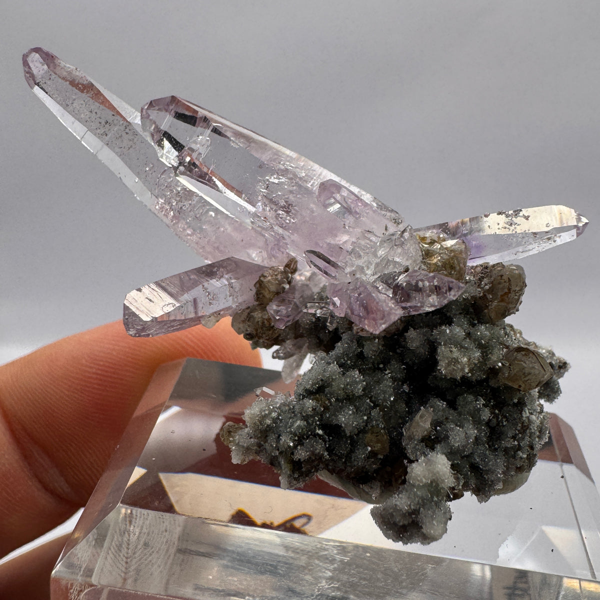 Veracruz Amethyst GC104