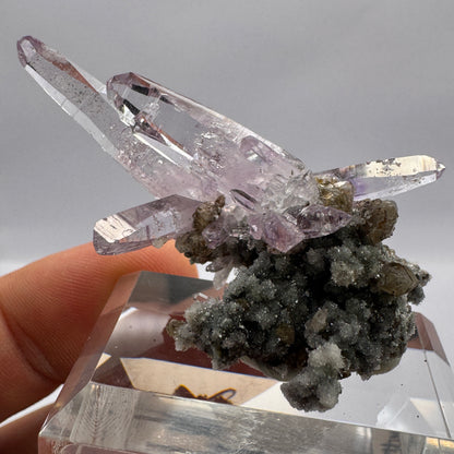 Veracruz Amethyst GC104
