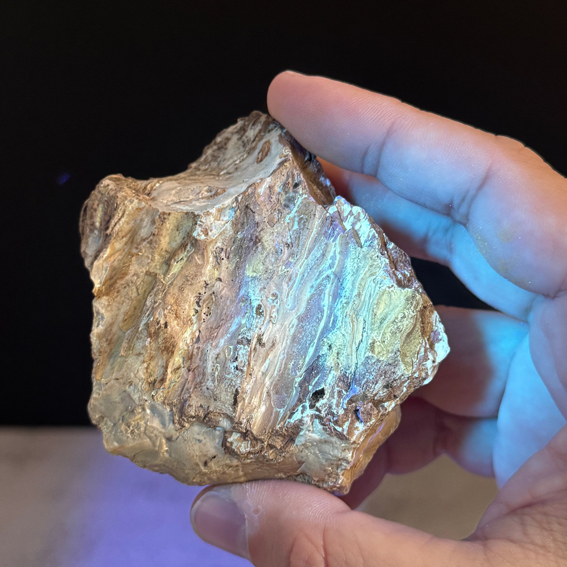 Blauer Bernstein GBR028