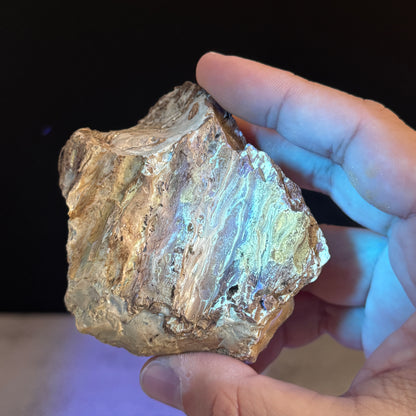 Blauer Bernstein GBR028