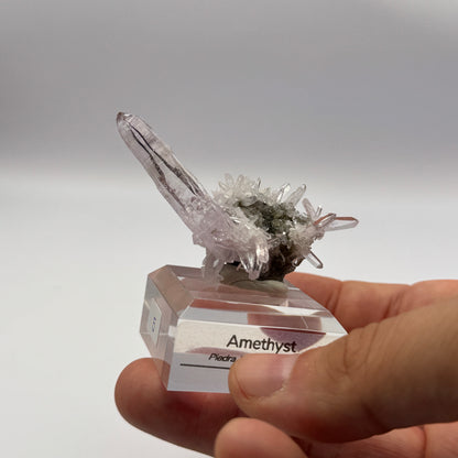 Veracruz Amethyst GC067