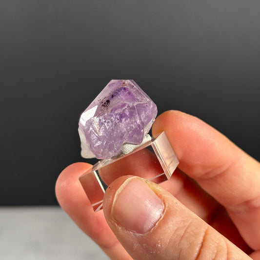Amethystspitze GBA248
