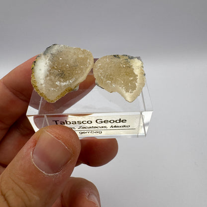 Tabasco Geode GC008