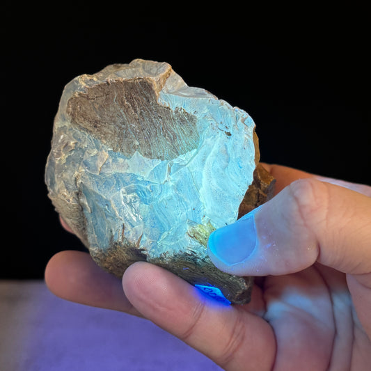 Blauer Bernstein GBR027